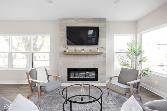 living room with a tiled fireplace and wood-type flooring