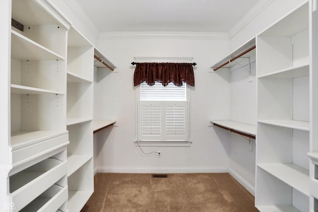 walk in closet with carpet flooring and visible vents
