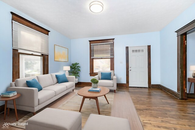 living room featuring wood-type flooring