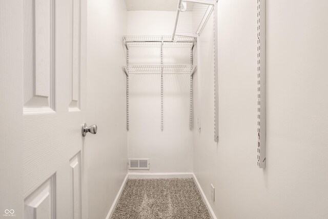 walk in closet with carpet floors