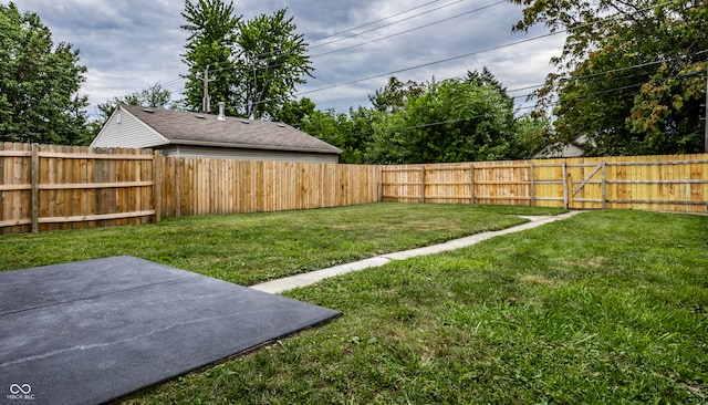 view of yard featuring a patio