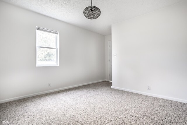 unfurnished room featuring a textured ceiling and carpet floors