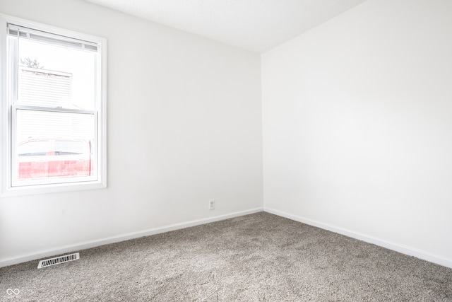 spare room with carpet floors and a healthy amount of sunlight