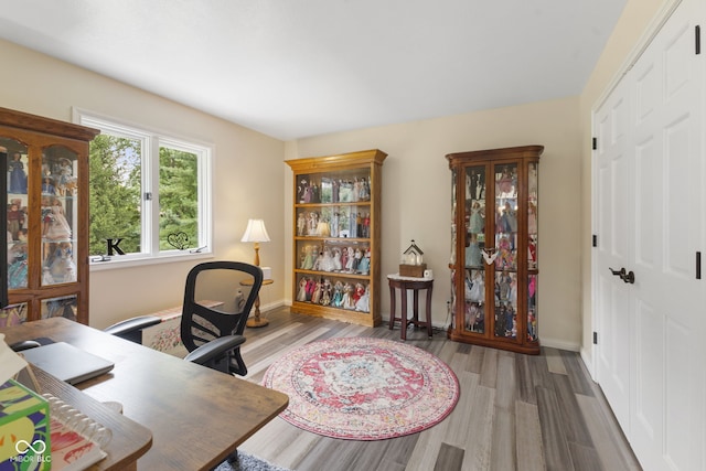 office area featuring hardwood / wood-style floors