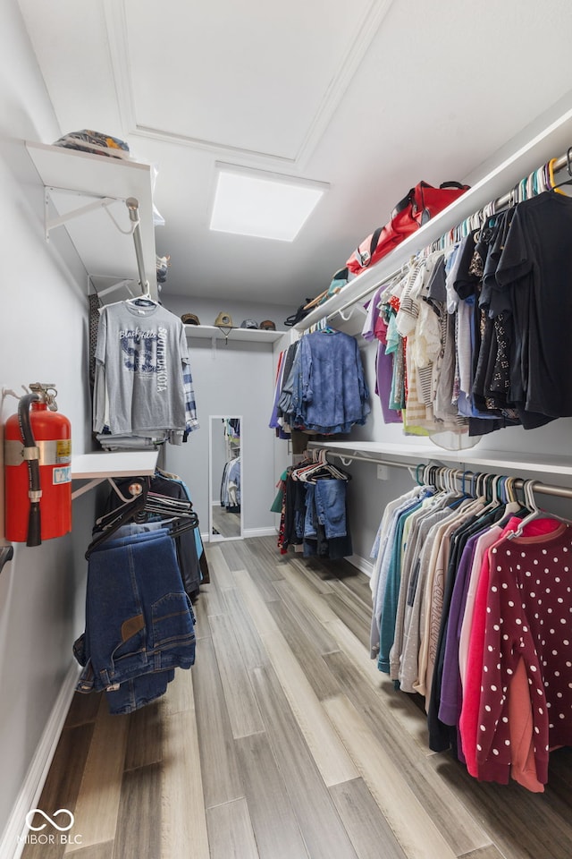 spacious closet featuring hardwood / wood-style floors