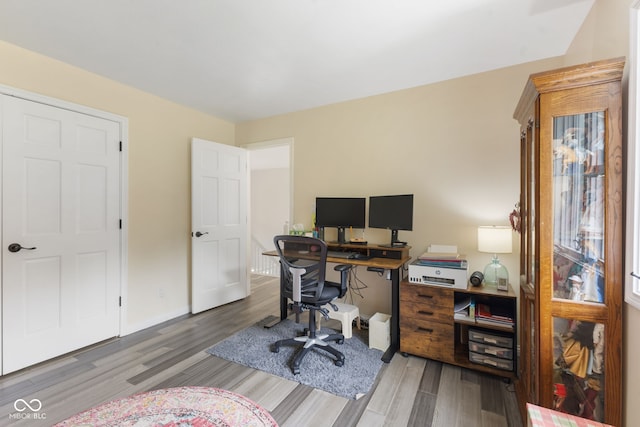 office space featuring wood-type flooring