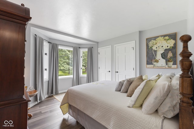 bedroom featuring light wood-type flooring and two closets