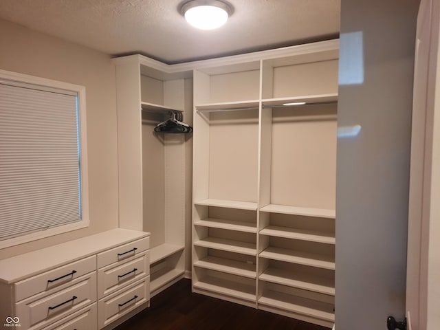 spacious closet with dark hardwood / wood-style floors