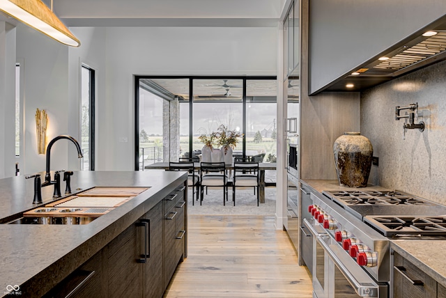 kitchen featuring dark brown cabinets, light hardwood / wood-style floors, sink, and stainless steel appliances