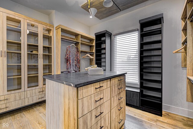 spacious closet with light hardwood / wood-style flooring