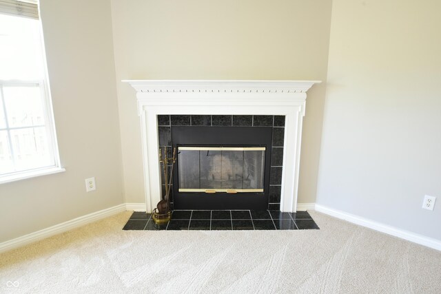 details featuring a fireplace and carpet floors