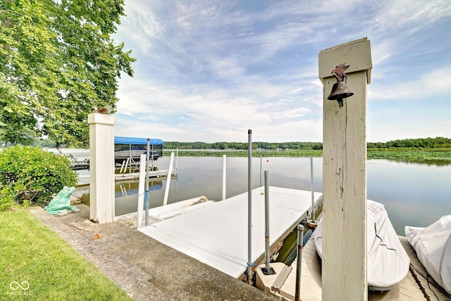 dock area with a water view