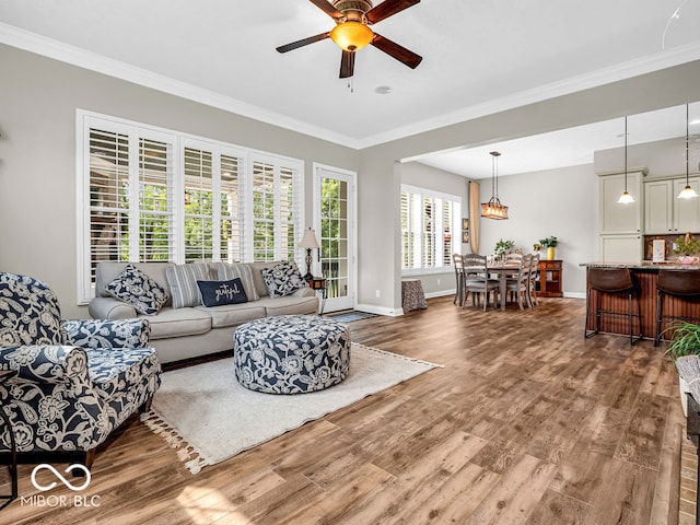 living room featuring ceiling fan, hardwood / wood-style flooring, and crown molding