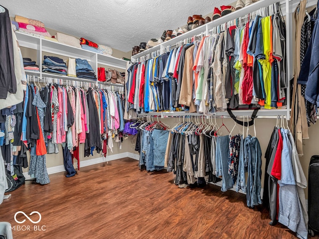 spacious closet with wood-type flooring