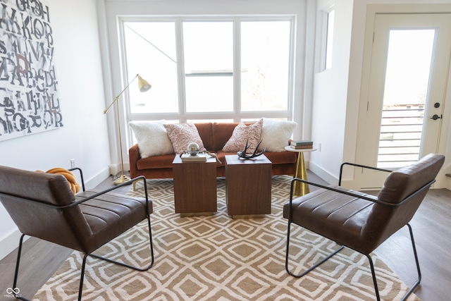 living room featuring plenty of natural light and hardwood / wood-style floors