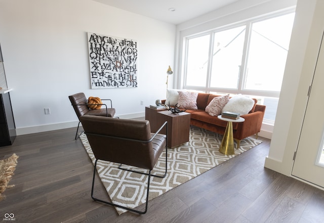 living room featuring hardwood / wood-style floors