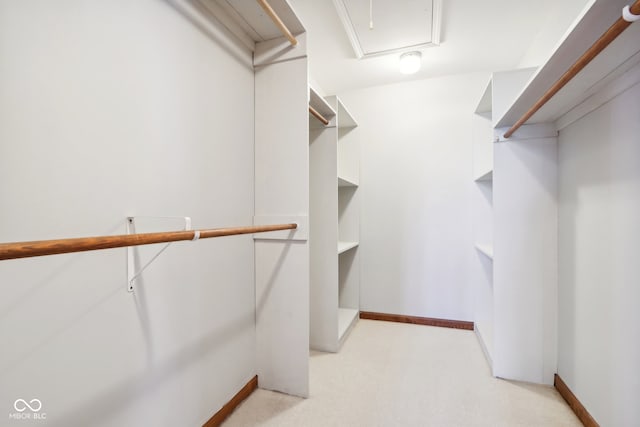 walk in closet featuring light colored carpet