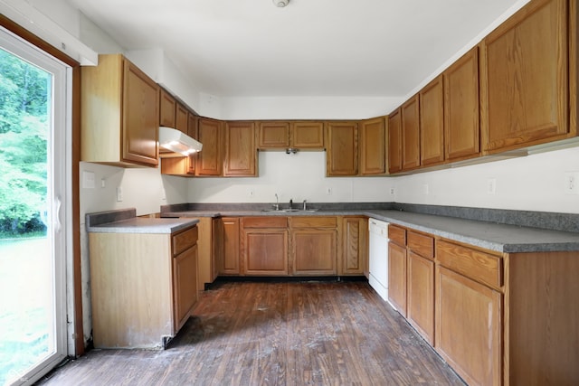 kitchen featuring sink, dark hardwood / wood-style flooring, white dishwasher, and range hood