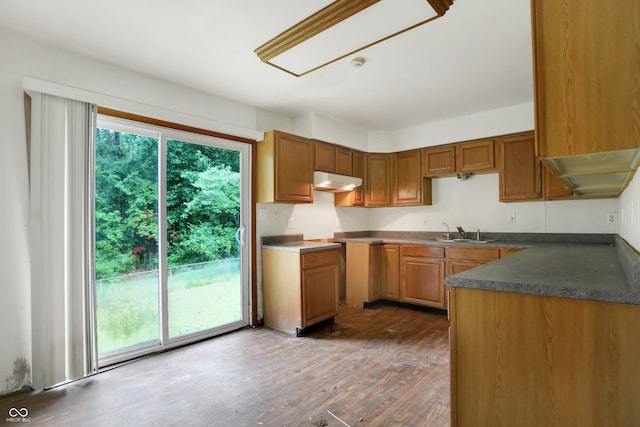 kitchen featuring dark wood-type flooring, sink, and plenty of natural light