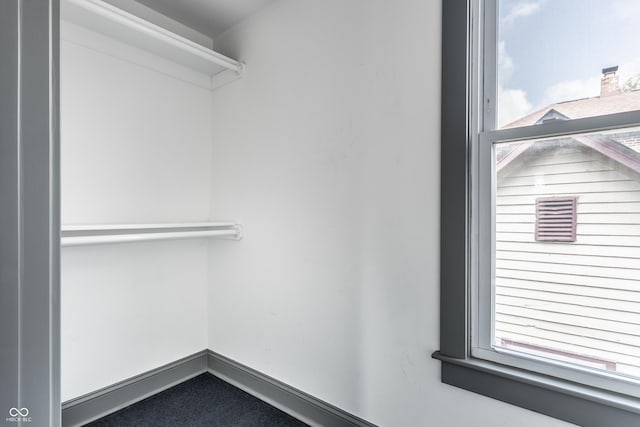 spacious closet with carpet flooring