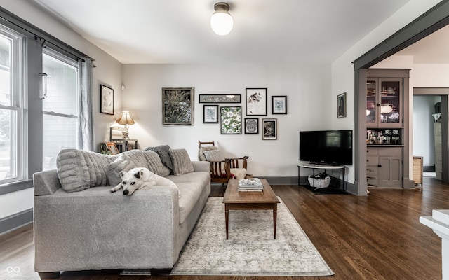 living room with dark hardwood / wood-style flooring