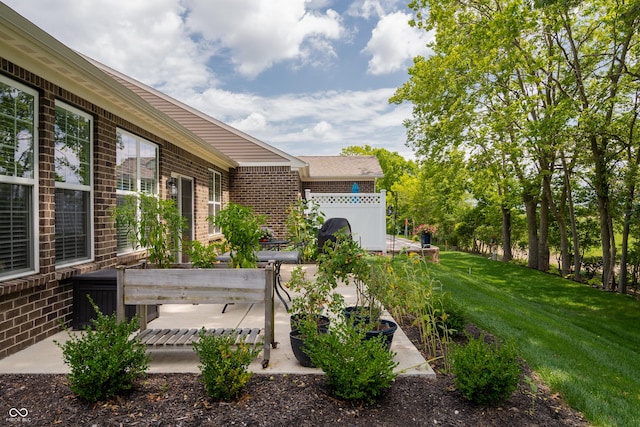 view of yard featuring a patio area