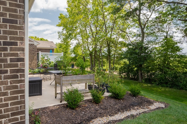 view of yard featuring a patio area