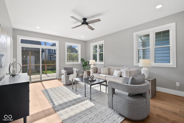 living room featuring ceiling fan and light hardwood / wood-style flooring