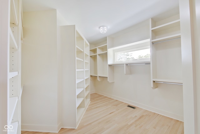 walk in closet with light hardwood / wood-style flooring