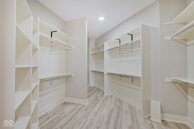 walk in closet with light wood-type flooring