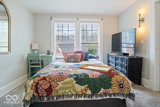 view of carpeted bedroom