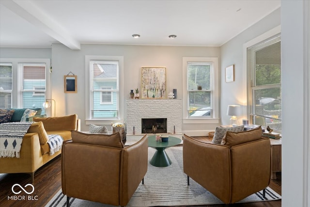 living room with a fireplace and dark hardwood / wood-style flooring