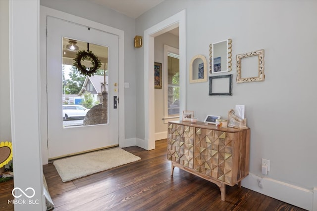 entrance foyer with dark wood-type flooring