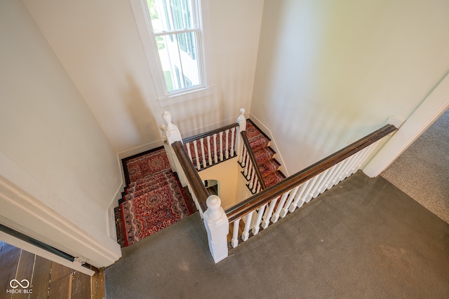 stairway featuring carpet