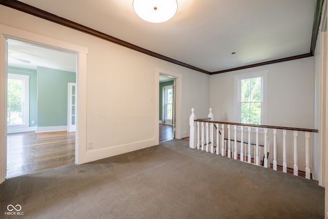 carpeted empty room featuring ornamental molding