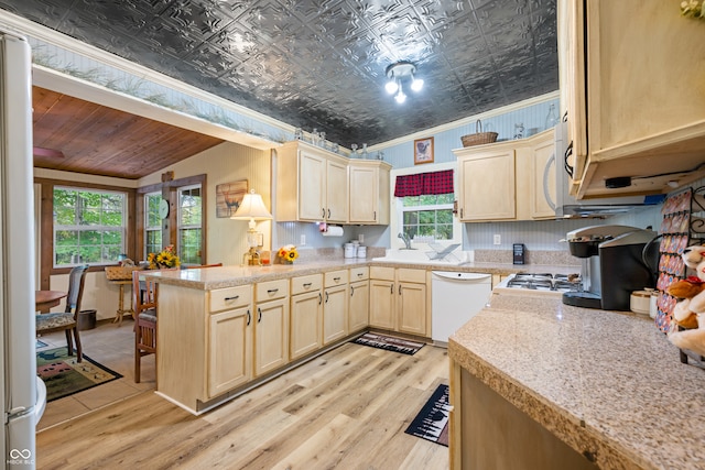 kitchen with light hardwood / wood-style flooring, white appliances, and plenty of natural light