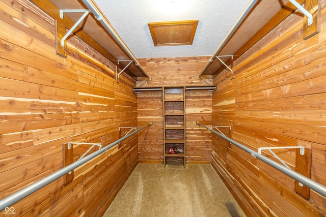 spacious closet with carpet floors