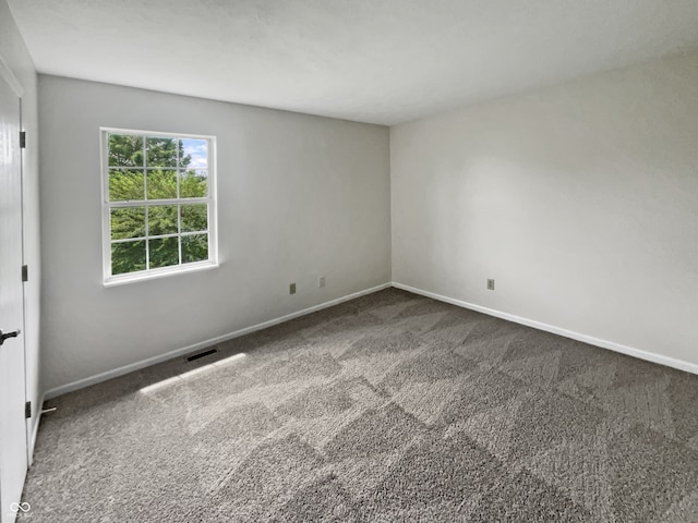 spare room featuring carpet floors