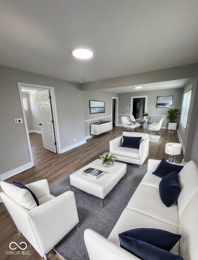 living room with hardwood / wood-style floors