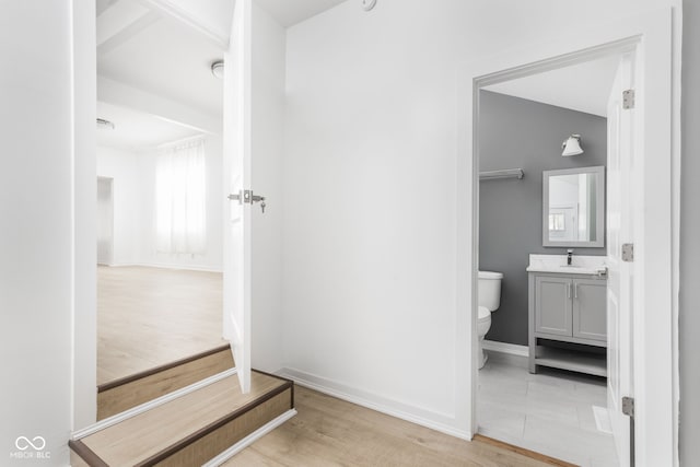 bathroom featuring vanity, toilet, and hardwood / wood-style flooring