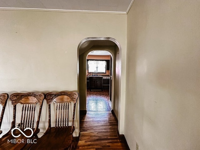 hallway featuring sink, dark hardwood / wood-style flooring, and ornamental molding