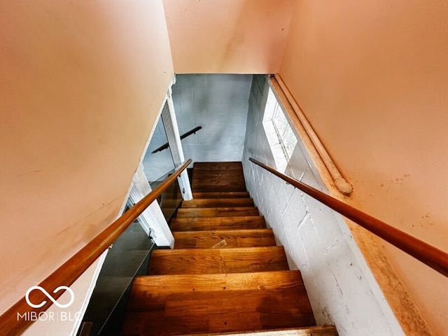 stairs with hardwood / wood-style floors