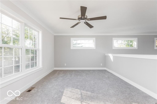 bonus room with ceiling fan and carpet flooring