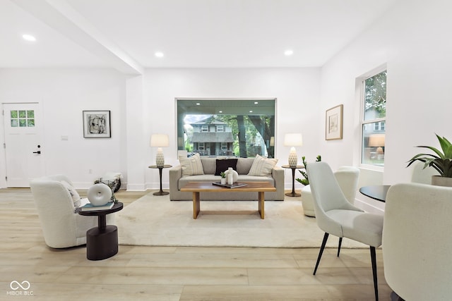 living room featuring light wood-type flooring