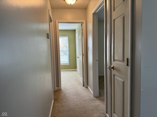 hallway featuring light carpet