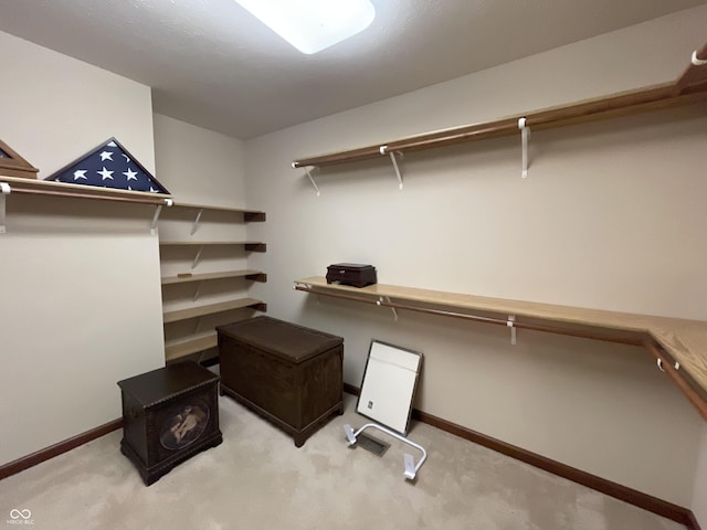 walk in closet with light carpet