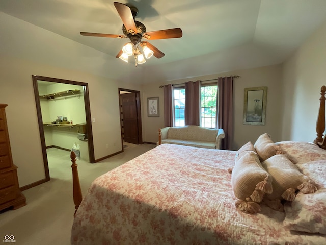 carpeted bedroom featuring ceiling fan, a walk in closet, and a closet