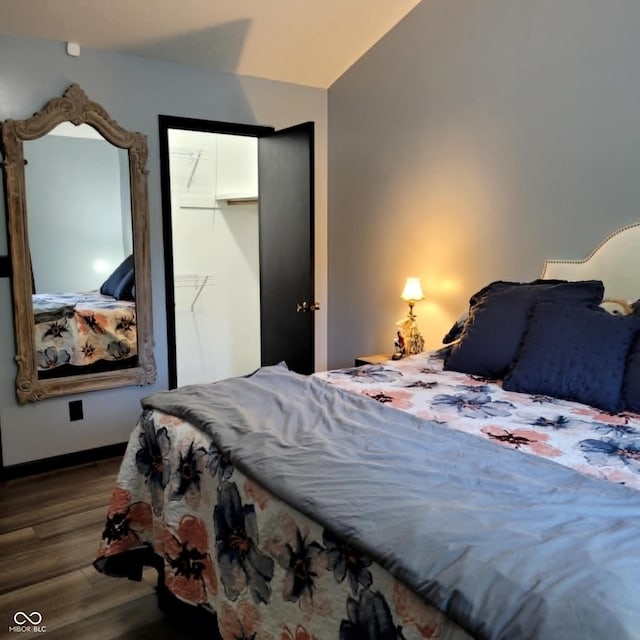 bedroom featuring a closet, hardwood / wood-style floors, and a spacious closet