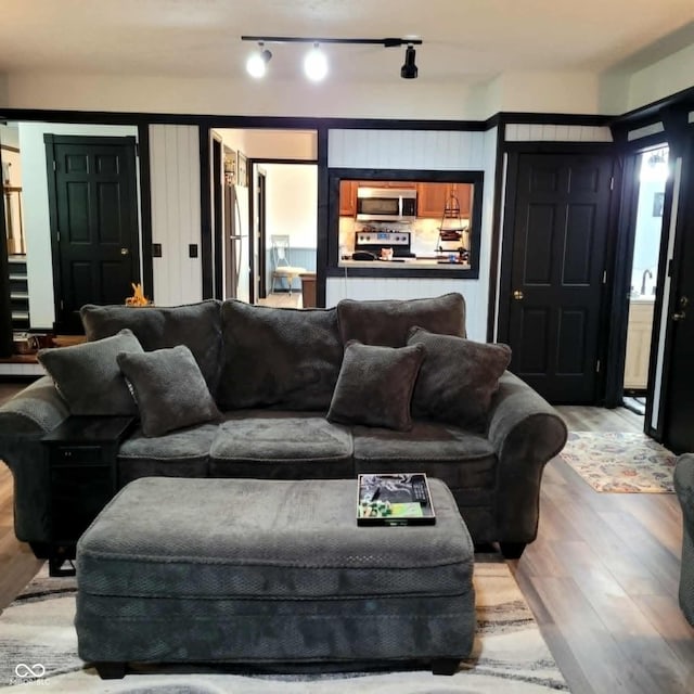 living room with light hardwood / wood-style floors and rail lighting