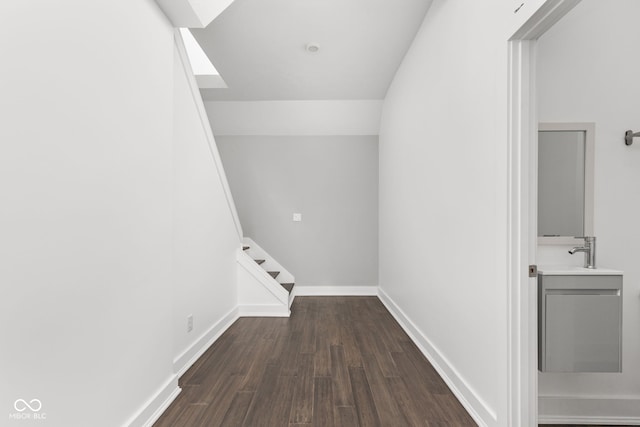 interior space featuring sink and dark hardwood / wood-style flooring